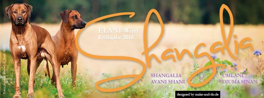 FB Shangalia Shani Sinan
